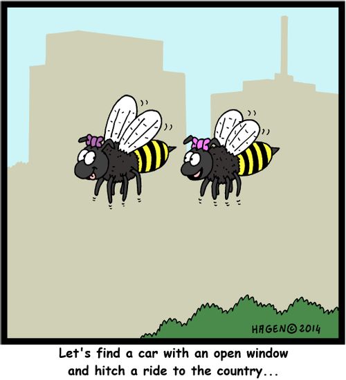'Let's find a car with an open window and hitch a ride to the country...'
