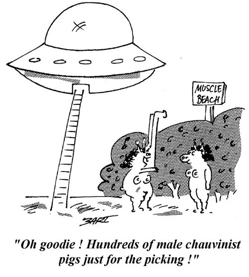 "Oh goodie! Hundreds of male chauvinist pigs just for the picking!"