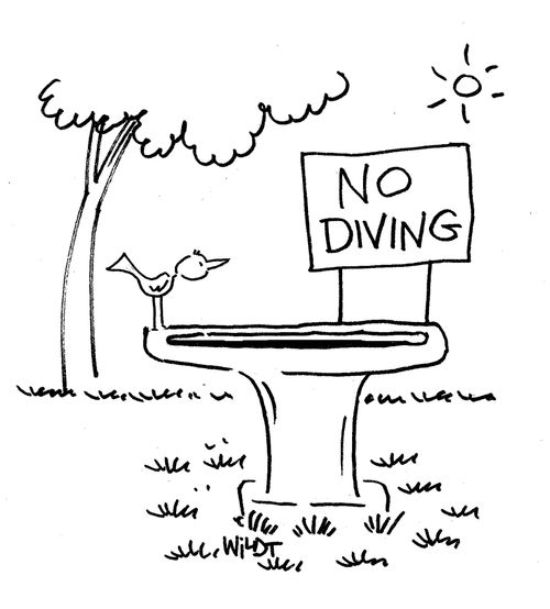 No Diving.