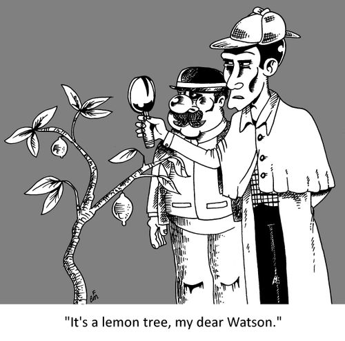 'It's a lemon tree, my dear Watson.'