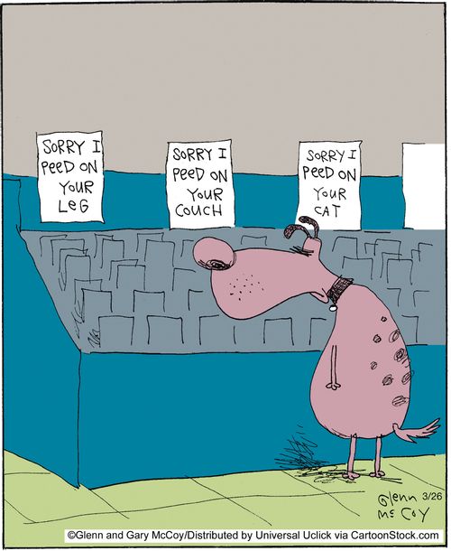 Apology Cards.