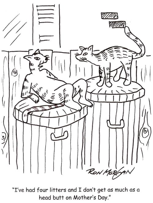 'I've had four litters and I don't get as much as a head butt on Mothers Day.'