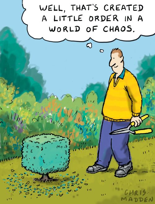 "Well, that's created a little order in a world of chaos."