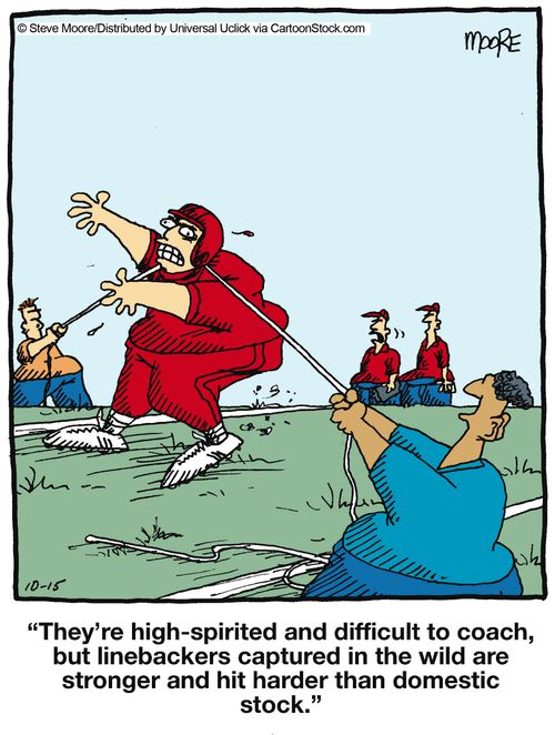 'They're high-spirited and difficult to coach, but linebackers captured in the wild are stronger and hit harder than domestic stock.'