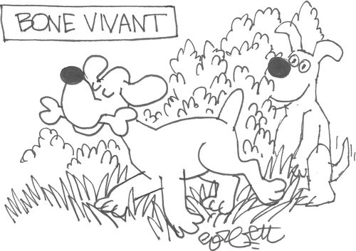 Bone vivant