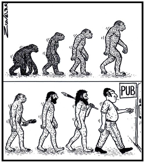 Man's evolution to the Pub.