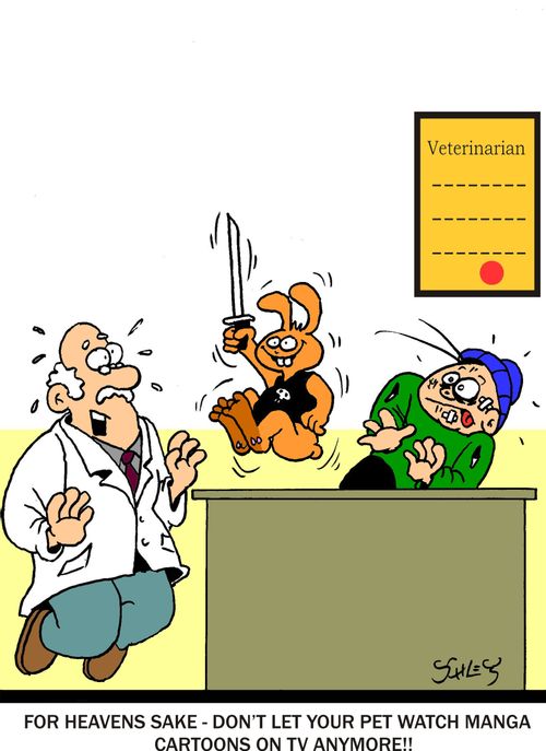 For Heavens sake - don't let your pet watch manga cartoons on TV anymore!
