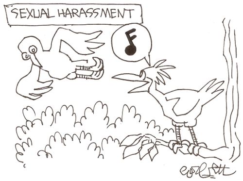 Bird sexual harassment.