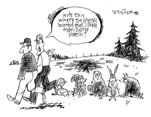 'Isn't this where the sheriff burned that illegal marijuana patch?'