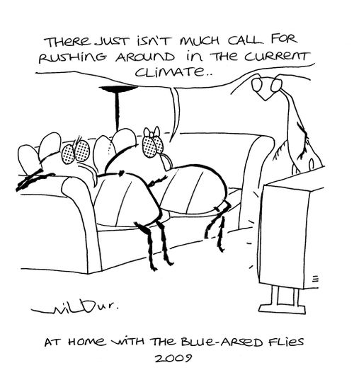 'At home with the blue-arsed flies 2009.'