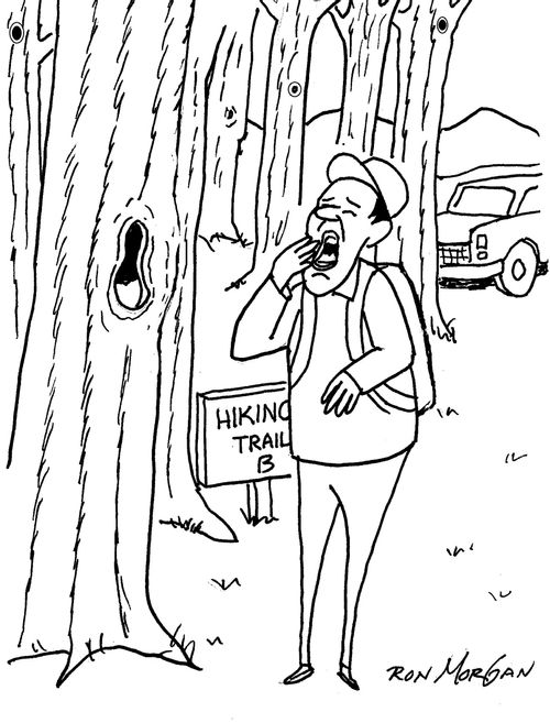 Hiker yawns after seeing hole in a tree that resembles a yawning mouth.
