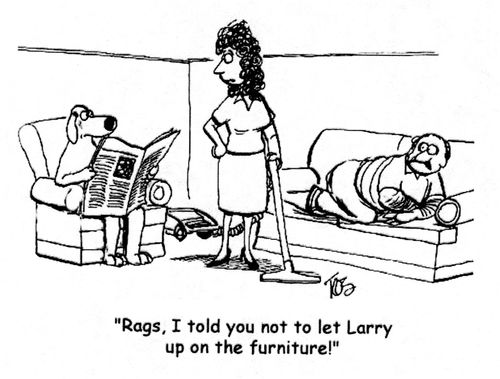 "Rags, I told you not to let Larry up on the furniture."