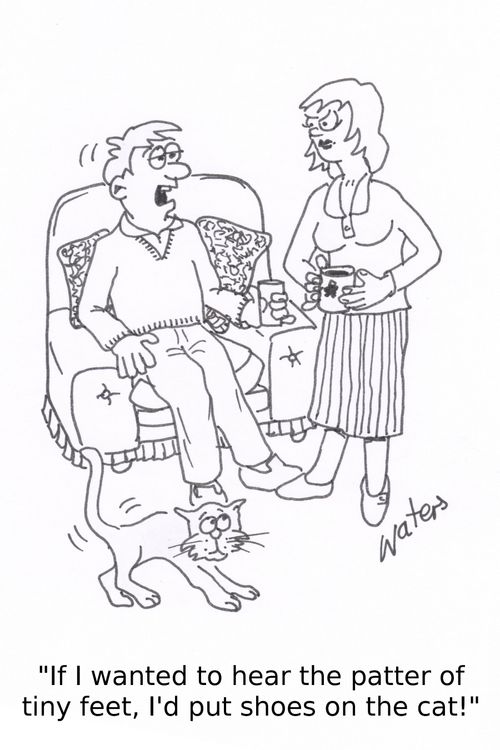 'If I wanted to hear the patter of tiny feet, I'd put shoes on the cat!'
