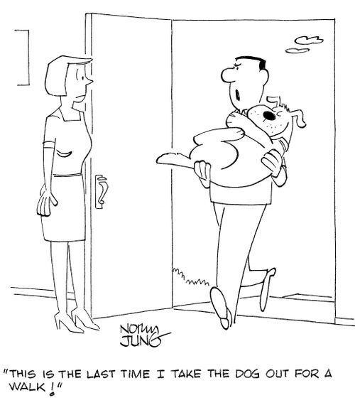 'This is the last time I take the dog out for a walk!'