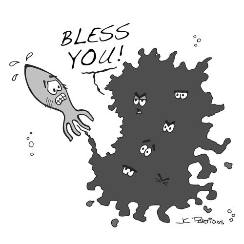 Sneezing Squid. - "Bless You!" 