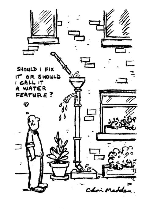 "Should I fix it or should I call it a water feature?"