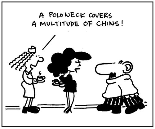 'A poloneck covers a multitude of chins.'