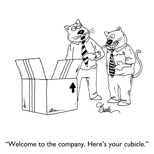 "Welcome to the company. Here's your cubicle."