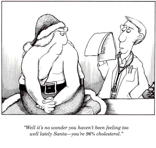 'Well, it's no wonder you haven't been feeling too well lately, Santa - you're 96% cholesterol.'
