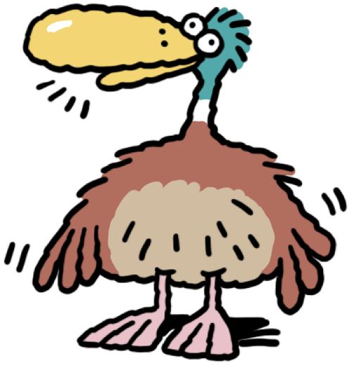 A duck