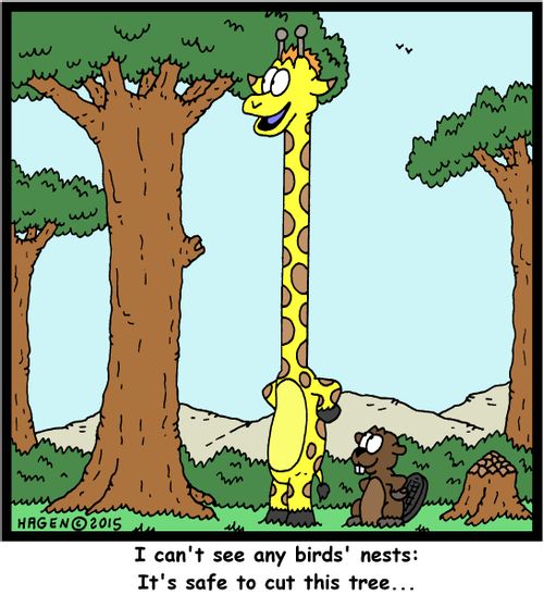 "I can't see any birds' nests: It's safe to cut this tree..."