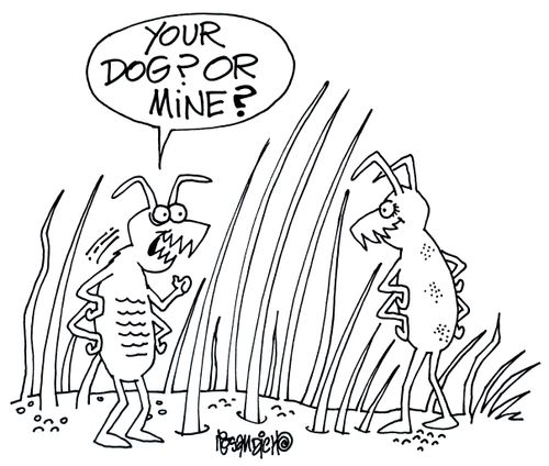 'Your dog or mine?'