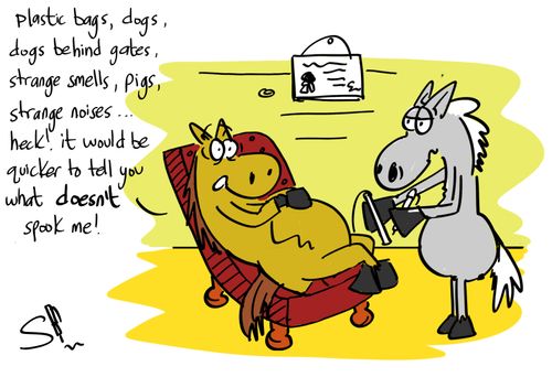 'Plastic bags, dogs, dogs behind gates, strange smells, pigs, strange noises...heck! It would be quicker to tell you what doesn't spook me!'