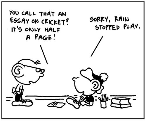 'You call that an essay on cricket? It's only half a page.'