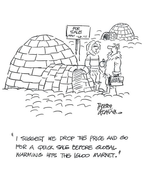 Igloo sales