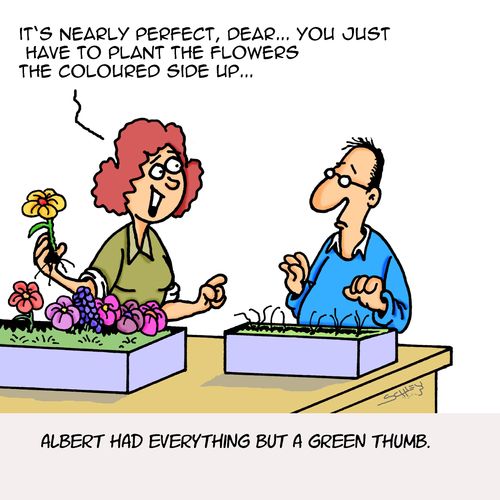 "It's nearly perfect, dear...you just have to plant the flowers the coloured side up..."