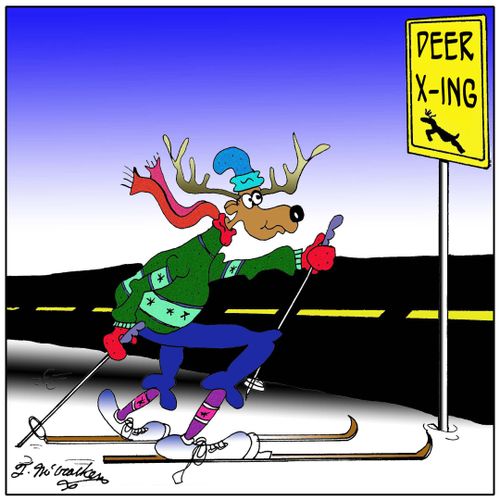 Deer X-ing.
