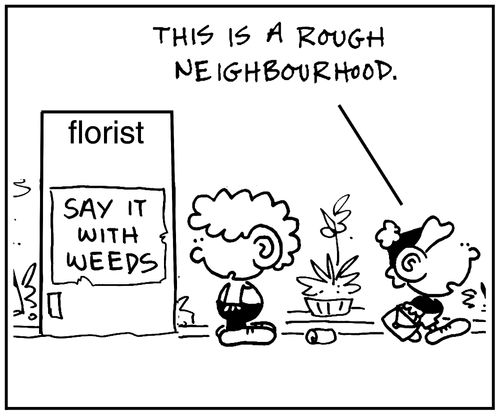 'This is a rough neighbourhood.'