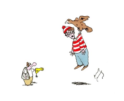 Falcon finds Waldo