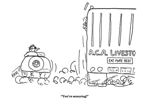 "You're scouring!"