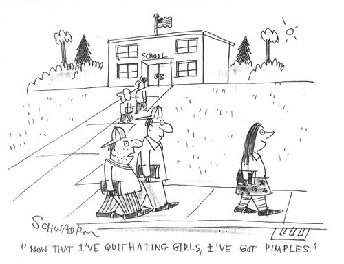 "Now that I've quit hating girls, I 've got pimples."