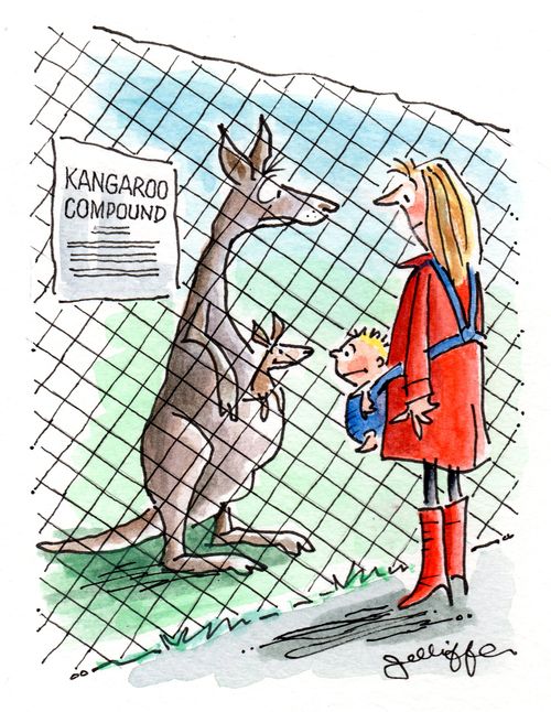 Mother and baby meets kangaroo and baby.
