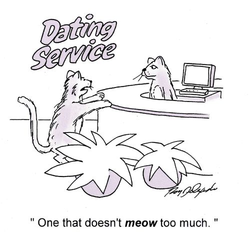 'One that doesn't meow too much.'