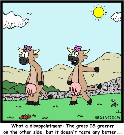 'What a disappointment: The grass IS greener on the other side, but it doesn't taste any better...'