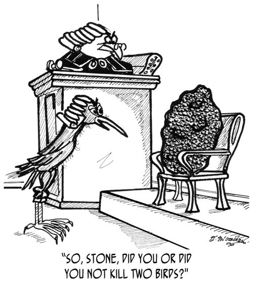 'So, stone, did you or did you not kill two birds?'