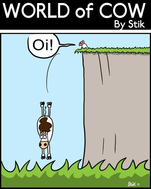 Diving cow.