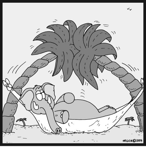 (Elephant on hammock)