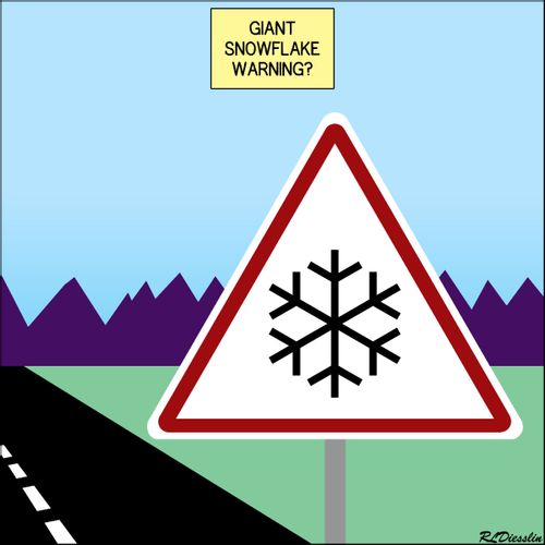 Snowflake Warning Sign - so what does it mean? A giant snowflake ahead, icy conditions possible, liberal or millennial warning?