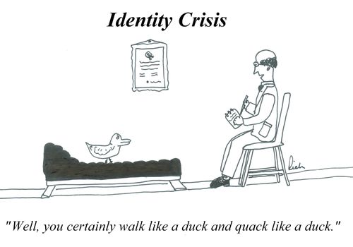 'Well you certainly walk like a duck and quack like a duck.'