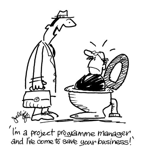 'I'm a project programme manager, and I've come to save your business!'