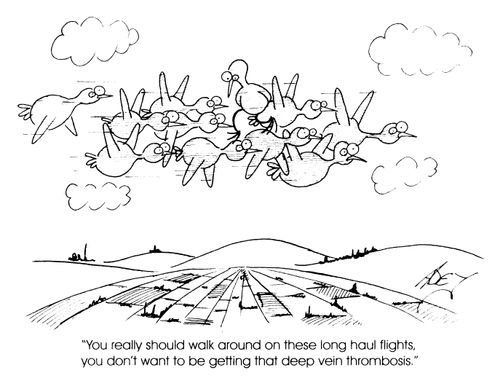 "You have to walk around on these long hall flights to avoid thrombosis.. "
