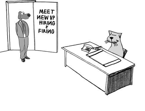 Meet New VP Hiring & Firing