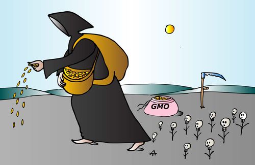 GMOs