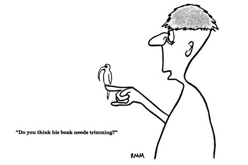 'Do yo think his beak need trimming?'