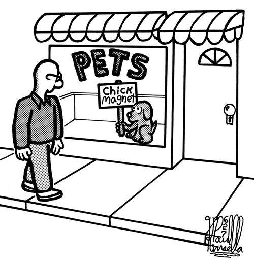 Pets: 'Chick magnet.'
