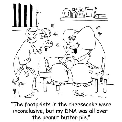 'The footprints in the cheesecake were inconclusive, but my DNA was all over the peanut butter pie.'